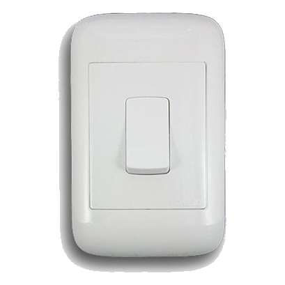Onesto Oracle 2X4 20 Amp 2 Pole Isolator, White