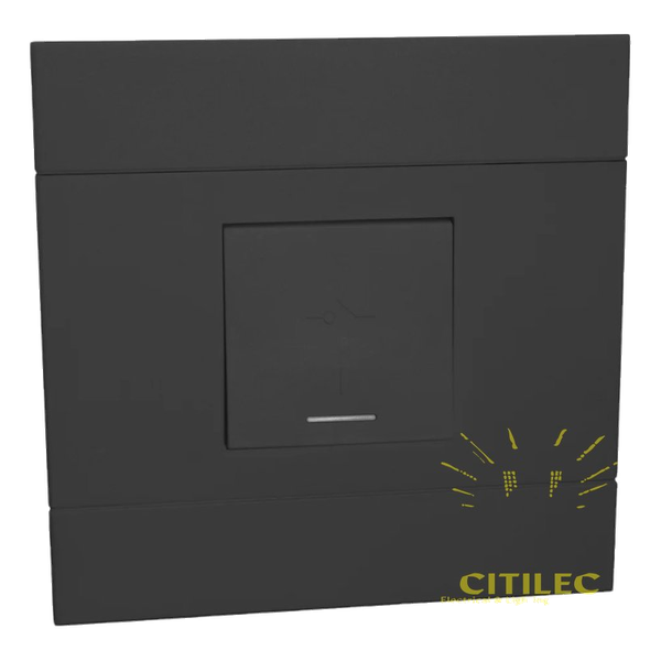 Veti – 60A Double Pole Isolator (2VC2160T)