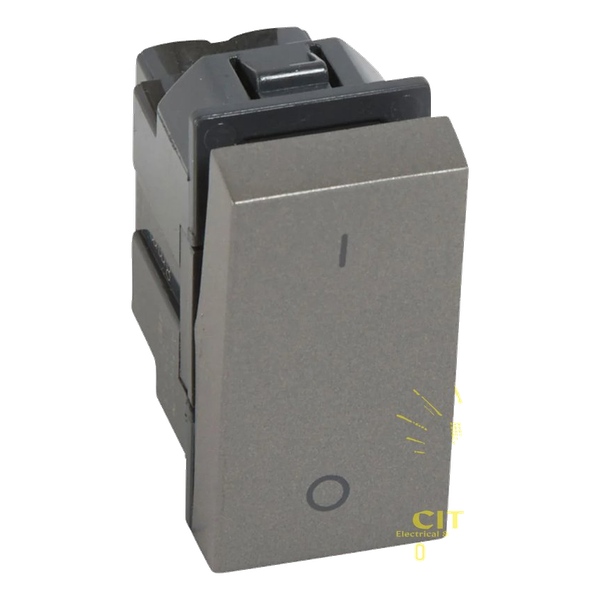 Arteor 1W 2P 1M Switch MG