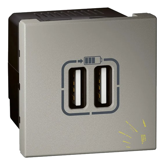 Arteor USB Dbl SO 2.4A MG