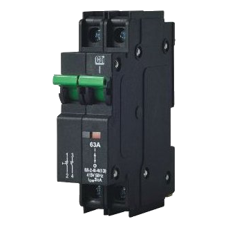 Cbi Qa-S-2(13) 2 Pole 3Ka 63Amp Isolator