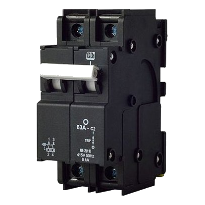 Cbi Qf-2 2 Pole 6Ka 63Amp Circuit Breaker