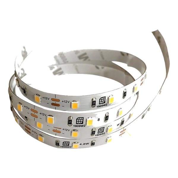 Pioled 4.8W 12V IP20 Strip 6000K – 5M 60 LED/M