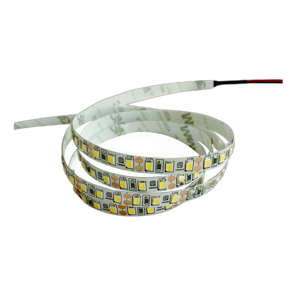 Pioled 9.6W 12V IP20 Strip 6000K – 5M 120 LED/M