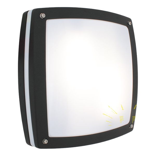 Eurolux Sidewalk 2x18w Black