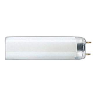 5Ft 58W T8 Cool White