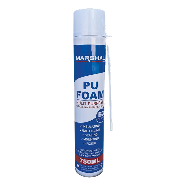Sista Foam 750Ml