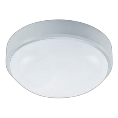 Bright Star Cf127 20W 220Mm Ceiling Light