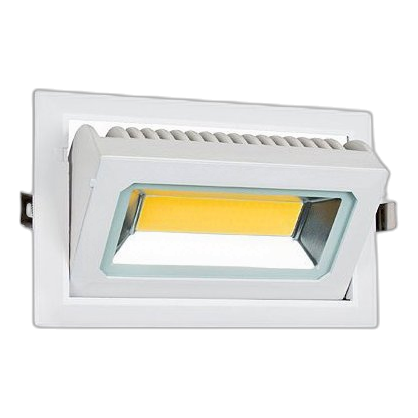 Bright Star Dl102 White Tilt Downlight
