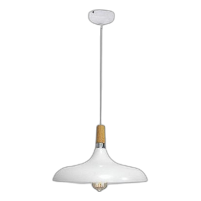 Bright Star Pen555 White Metal & Wood Pendant