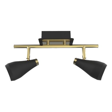 Bright Star S173/2 Matt Black & Brass Spotlight