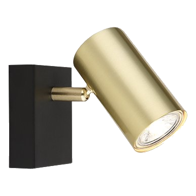Bright Star S418/1 Black & Gold Spotlight