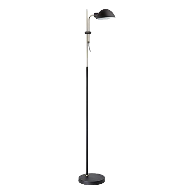 Bright Star Sl432 Black Standing Lamp