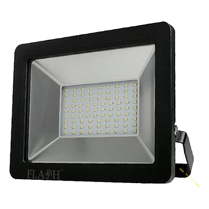 Flash 30W Daylight Led Floodlight