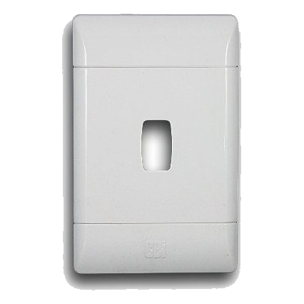 Cbi G000-P 2X4 1 Lever Cover Plate, White